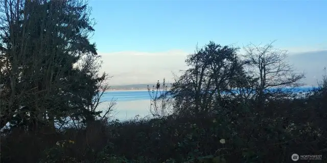 Looking East over the property 01