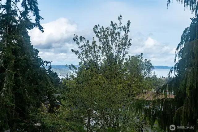 Puget Sound Views