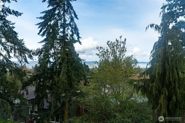 On clear days you can see Mt Baker