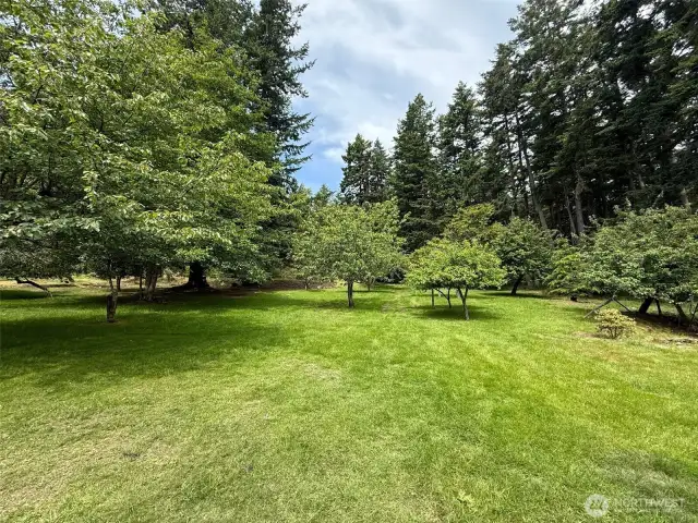 Expansive orchard with numerous varieties of fruit trees and lush lawn