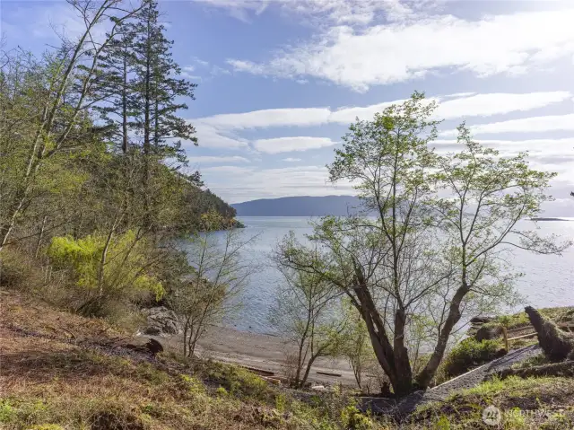 Looking down over the cove beach and gravel path leading to the waterfront.