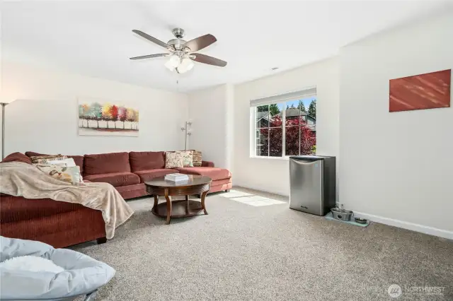 Upper level bonus room.