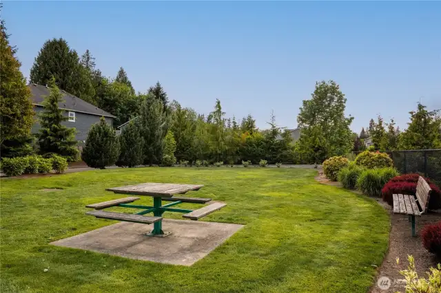 Neighborhood open space.