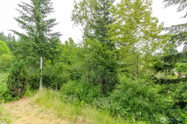The lower part of the property can be cleared for animals, outbuildings, or space for hobbies