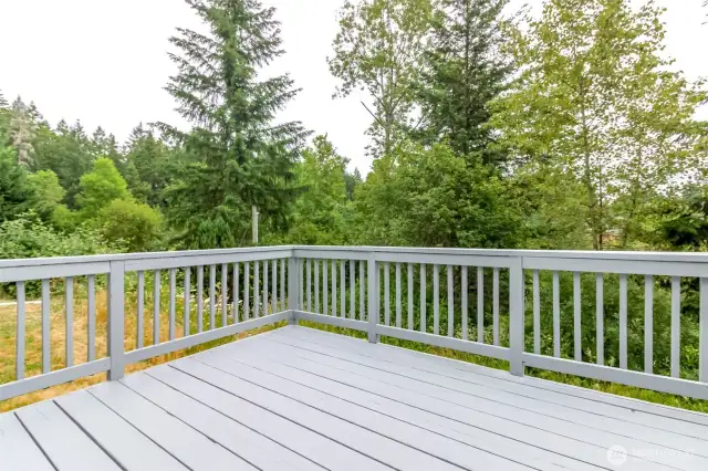 Enjoy grilling and relaxing on this spacious deck, overlooking the lower part of the property