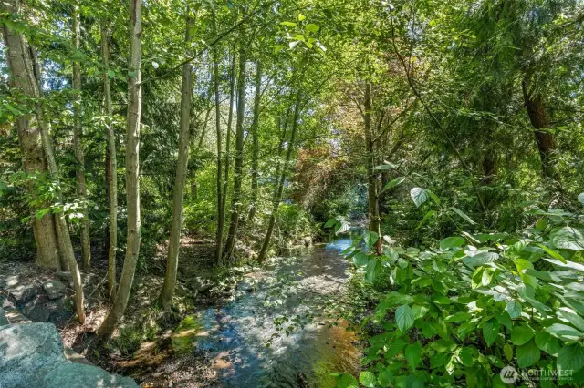 Juanita Creek.