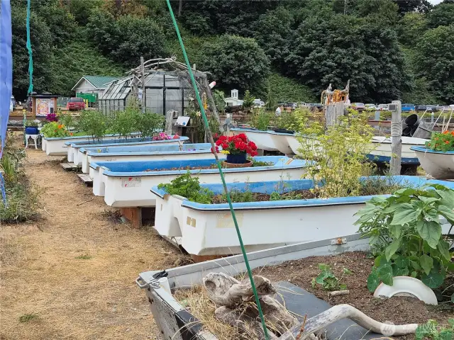 Community Garden