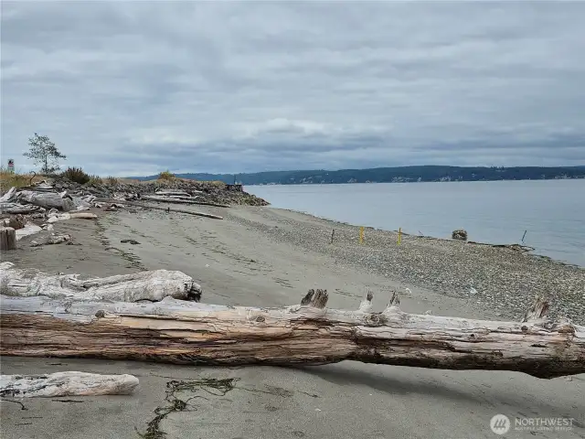 Lots of Beaches