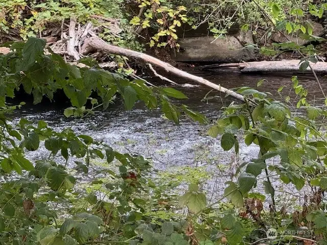 River right across from the trailer