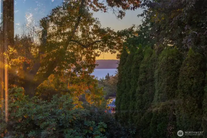 View from the living room at dusk. Much better winter views.