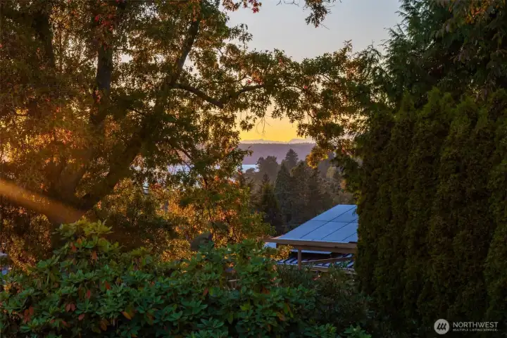 Another shot of the view from the living room.