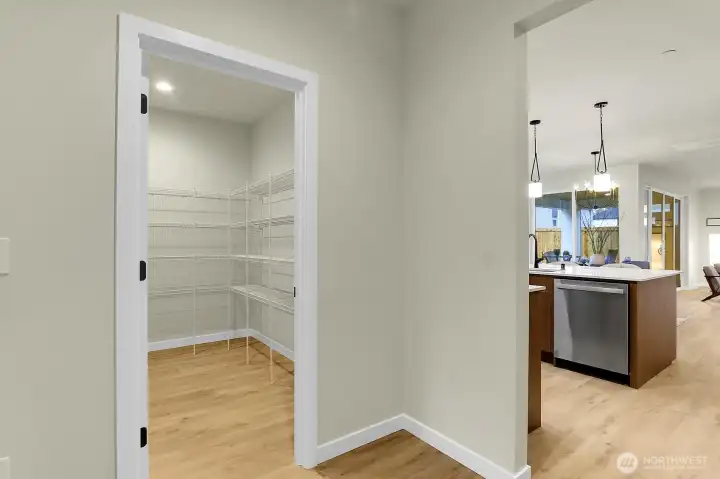 A huge walk-in pantry keeps everything neatly tucked away.