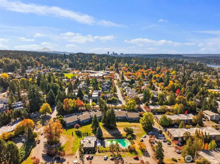 Welcome to Laurel Park Vista