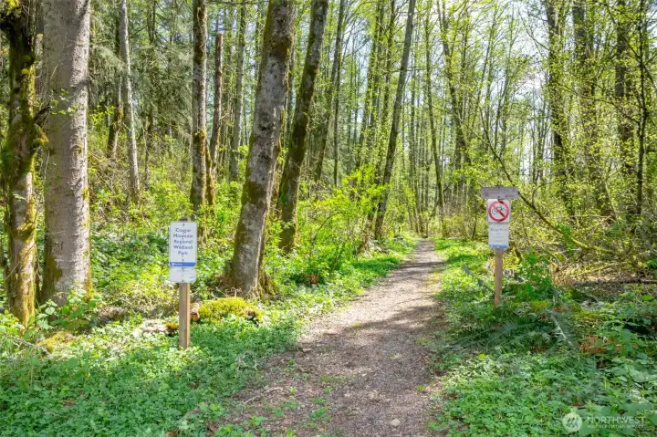 Trail head Trail head