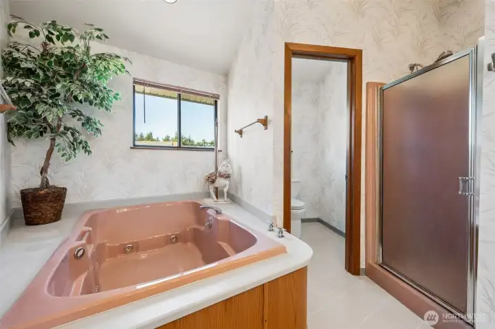 5 piece primary bathroom is like a spa with the 2-person jetted tub.
