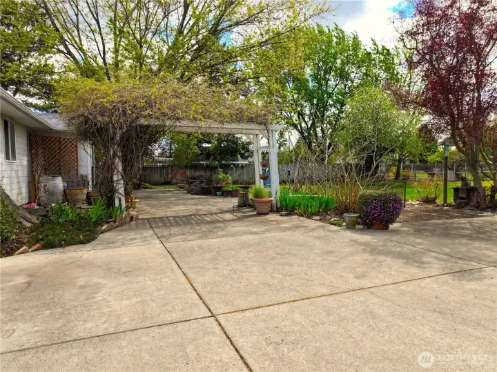 Backyard Trellis