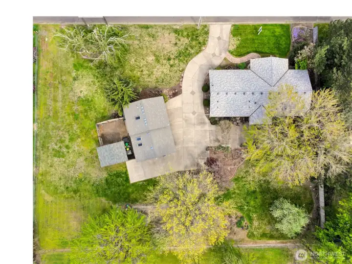 Top Down View