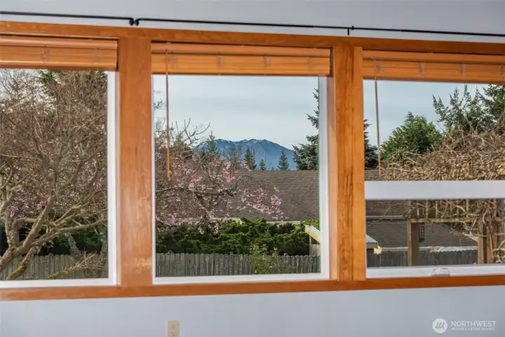 Great Room - Mt View