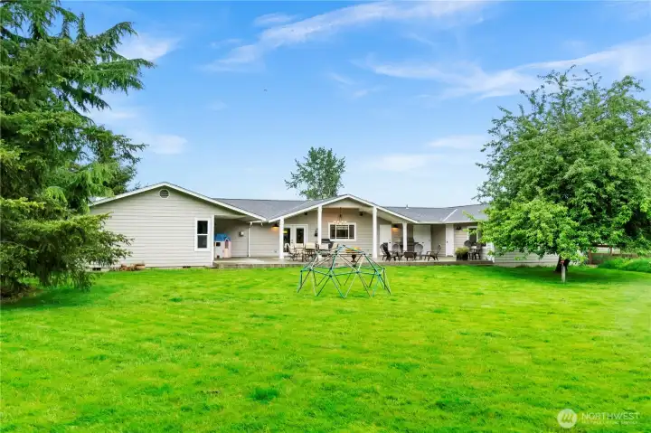 Huge backyard with tree house
