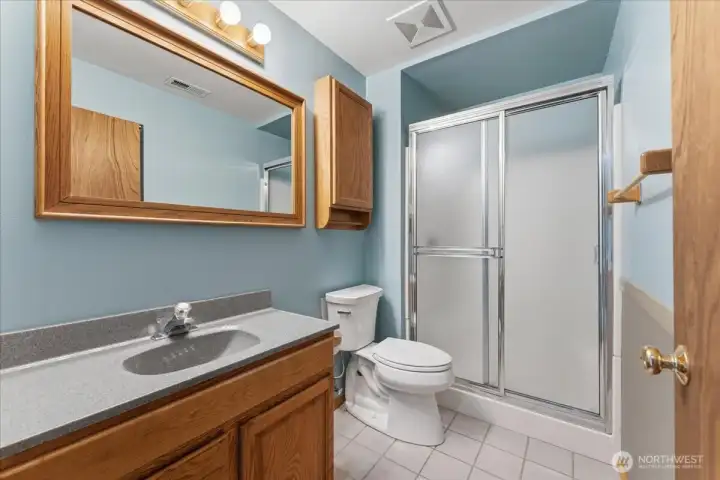 Daylight basement bathroom