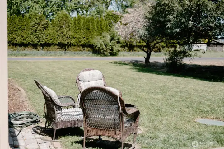 Back Yard View