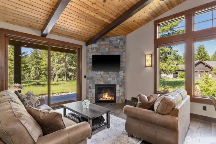 Wood ceilings, fireplace, internet, lots of light