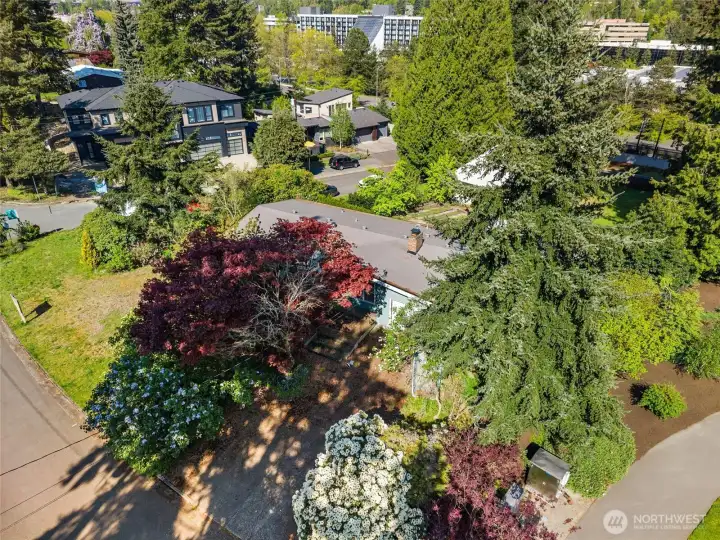 Approved plans deliver 4,931 SF of heated living space with 5 bedrooms, multiple gathering areas, and a flexible modern layout. Approved plans deliver 4,931 SF of heated living space with 5 bedrooms, multiple gathering areas, and a flexible modern layout.