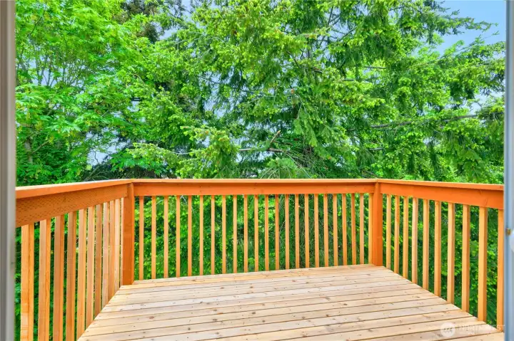 New Deck with privacy off of the Dining Room