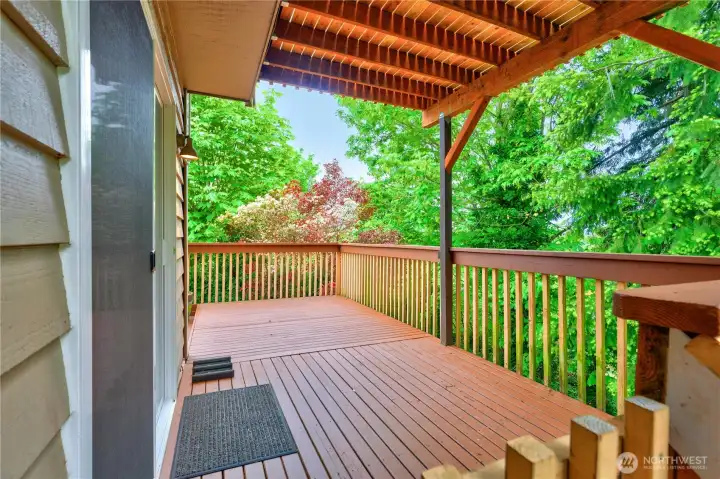 Wald out of Rec Room onto this wonderfully private deck which wraps around to the sideyard play area