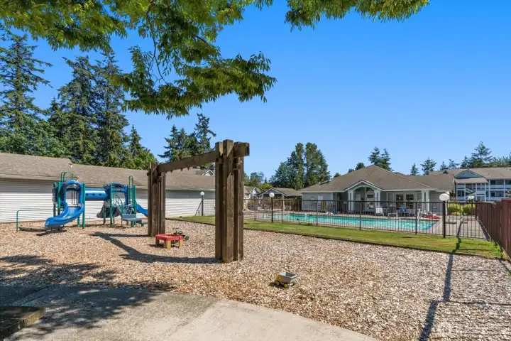 Playground & Pool