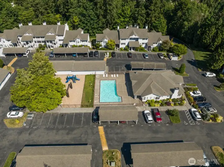 Outdoor pool & hot tub