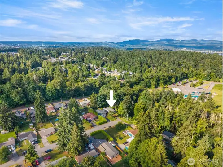 There’s a little bit of magic in the way this home greets you. As you come down the drive and feel the forest around you, it’s the kind of place that makes you take a deep breath before you even step inside.