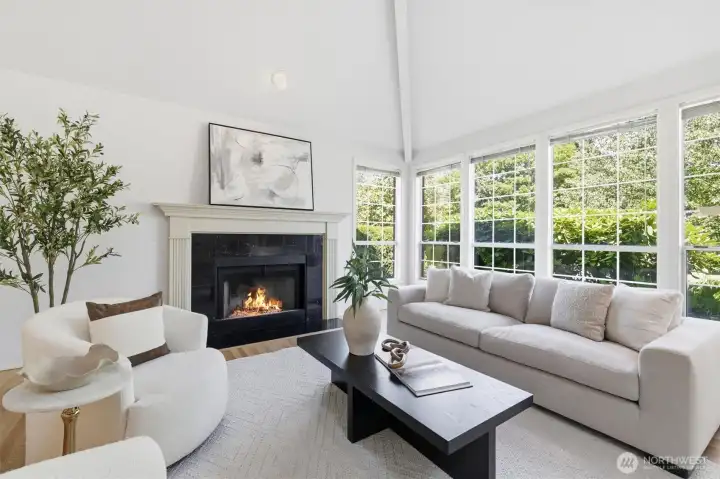 Cozy gas fireplace