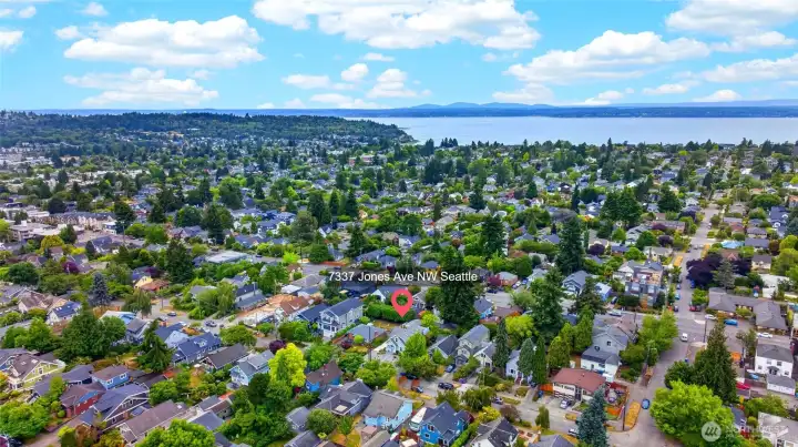 Tree-lined neighborhood, and close to Ballard's famed Market Street