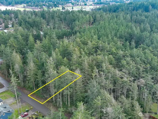 Looking Southeast over property. Lot 4 delineation is approximate.