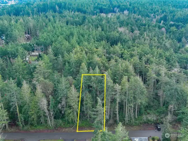 Looking South over property.  Lot 4 delineation is approximate.