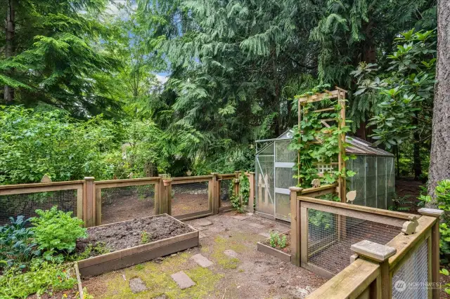 Special enclosed garden with raised beds and green house.