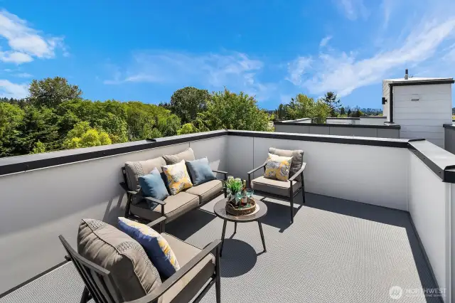 Enjoy a private retreat on this stunning rooftop deck, where treetop views create a serene atmosphere, and the spacious area invites ample seating and entertainment options. A third bedroom on the lower floor boasts ideal flex space—a fantastic 4th bedroom, nursery, or office.