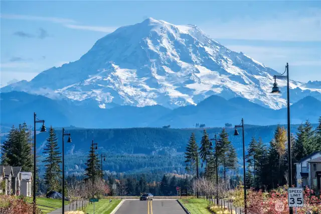 MT RAINIER VIEWS