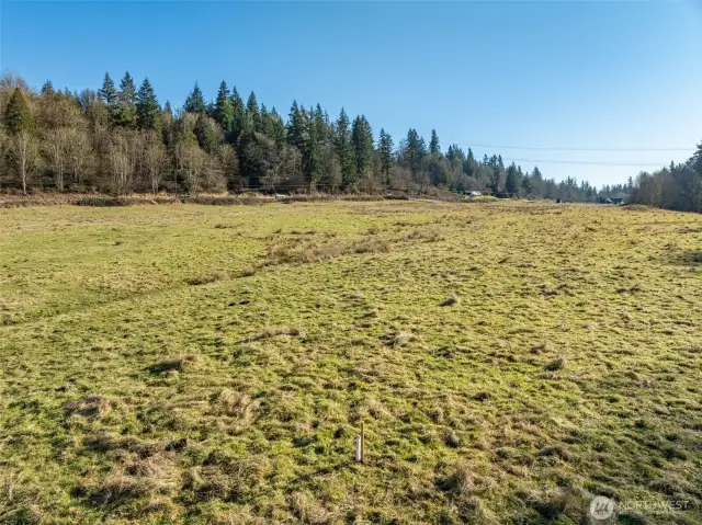 Looking Southeast across the open field, this photo features a visible survey stake in the foreground marking one of the many reference points on the Property that establish its North line.
