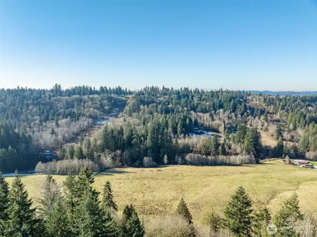 Looking virtually due West over the property toward a forested hillside that abuts the Property. This view highlights the natural privacy and elevation changes across the landscape.