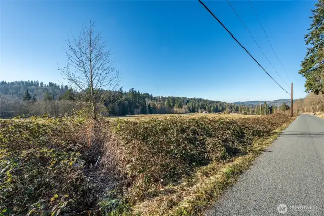 Looking Northwest along the property's road frontage, with power lines running overhead and a survey stake visible near the bramble line at the base of the tree. The land has been surveyed and preliminary feasibility study has been completed!