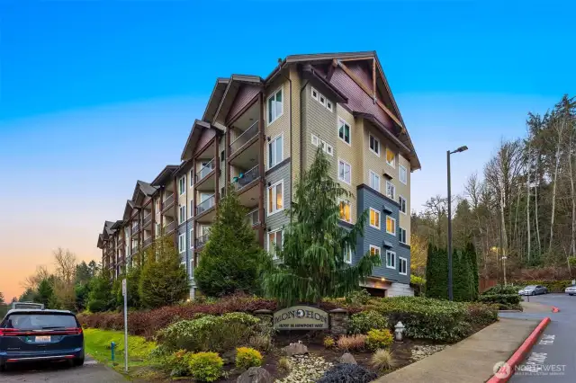 Building from Newport Way