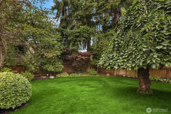 Established landscaping with plenty of room for a garden party.