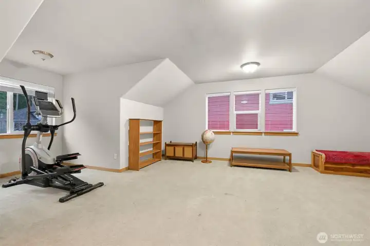 Large bonus room