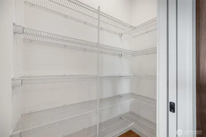 Look at all of the storage in the pantry!!   Photos are of model home of same floorplan. Color schemes will vary.