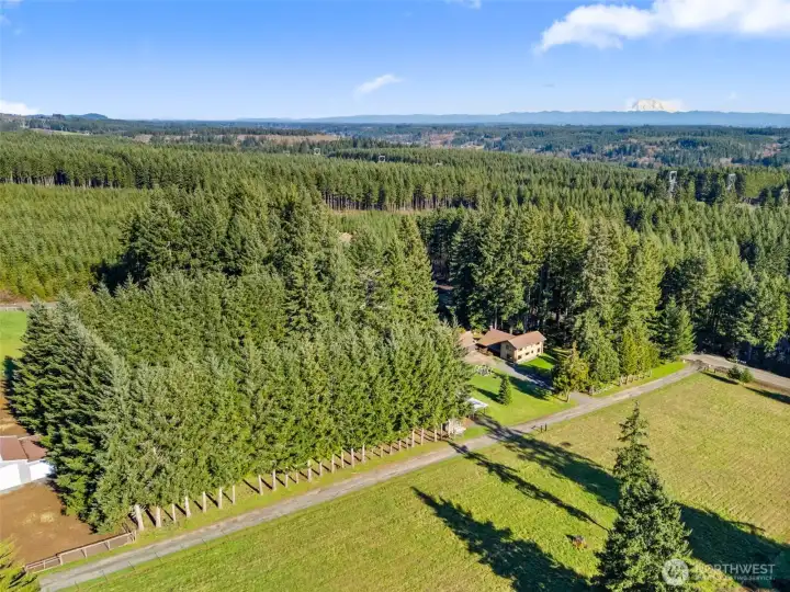 Aerial perspective of both tree-lined lots, delivering space, versatility, and strong value with the added potential for future expansion — buyer to verify all possibilities.