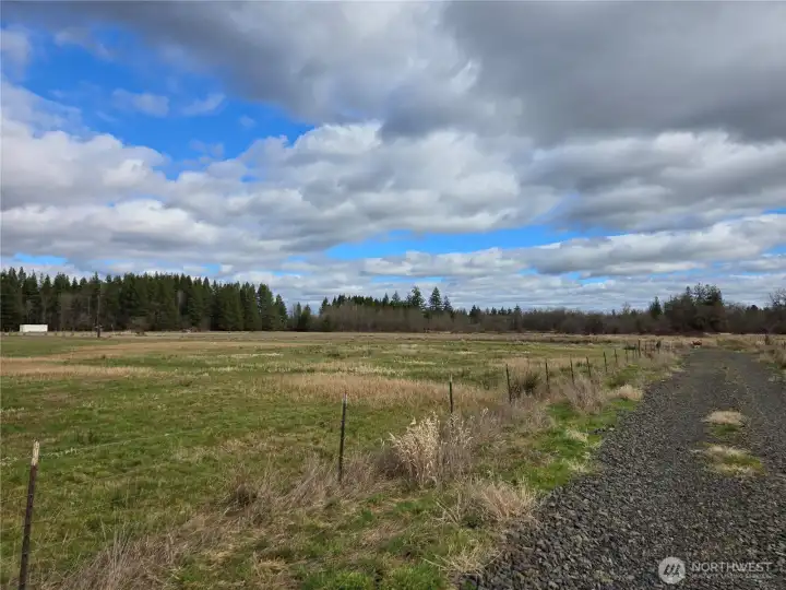 driveway into the property