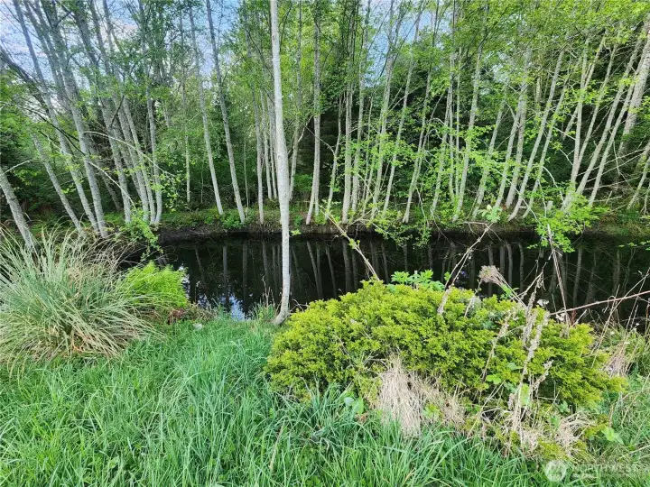 Pond Near ADU