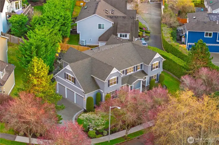 Three car garage and driveway from the side of the home.